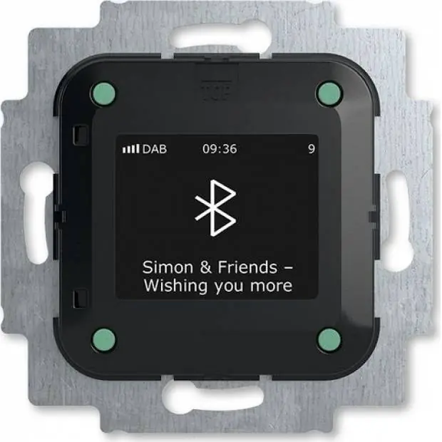 Nejprodávanější ABB 8217 U-101-500 Tuner FM a DAB+ s Bluetooth, se zesilovačem