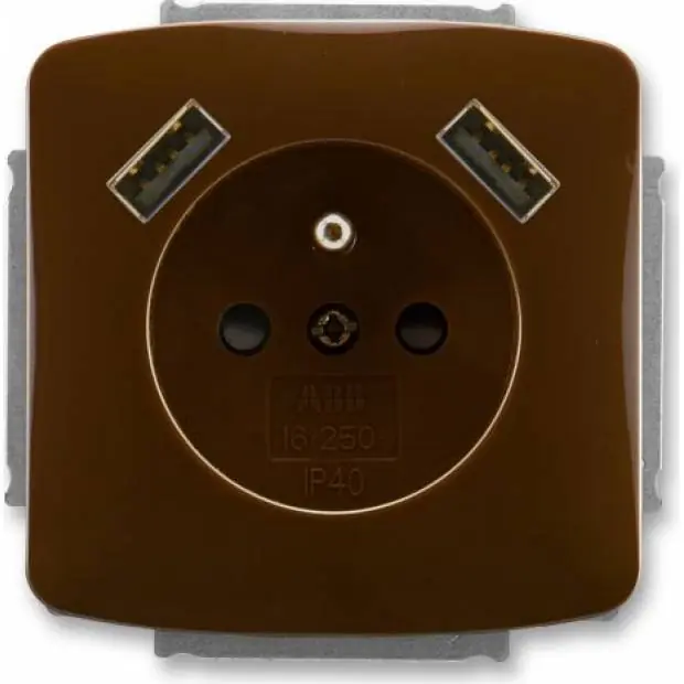 Kup Teď 5569A-A22357 H Zásuvka 1násobná s kolíkem, s clonkami, s 2x USB nabíjením