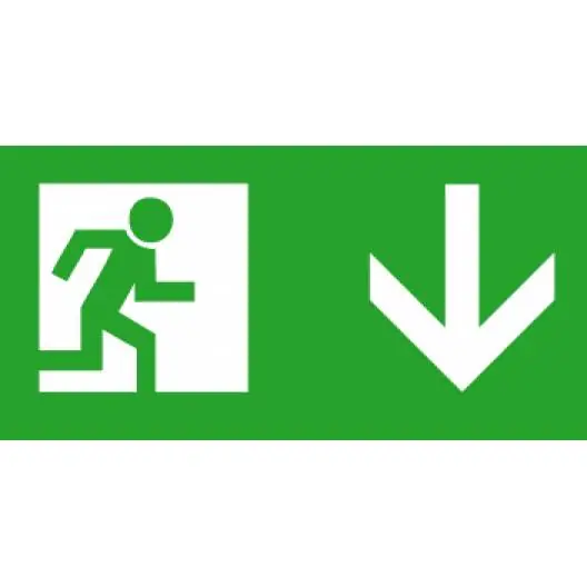 Kanlux EXIT PICTO-DOWN2-N - Evakuační značka (nahradí kód 07417) 24683 Sezónní Sleva
