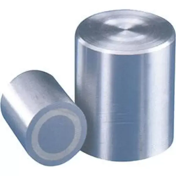 Magnetický válečkový chapač 20x25mm FORMAT Značkový