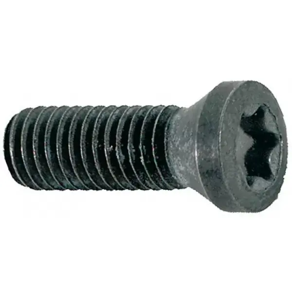 Upínací šroub M5 x 12 T20 1 ks 10ks Autentický