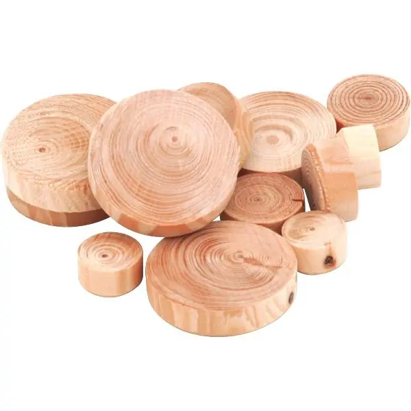 Dřevěná zátka - modřínovávětev, ø 20 mm, výška 9 mm, obsah 250 kusů Nejlepší Volba