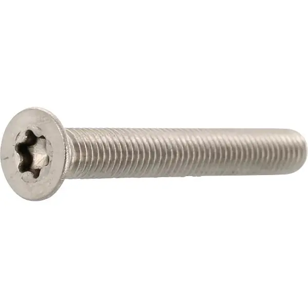 Nakupujte Hned ISO14581 M 5x 60 Torx 25 Nerez šroub A2-070 zápustná hlava