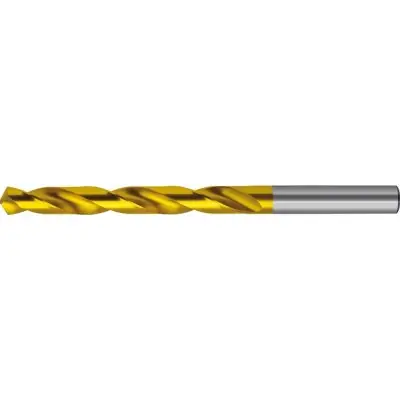Odeslání Ihned Spirálový vrták DIN338 tvrdokov TiN typ N 3,10 mm FORMAT