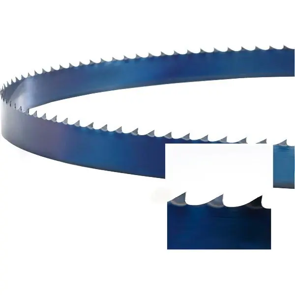 Pilový pás Z3/Z5 1752 x 10 x 0,65 mm Z4 (10 kusů) Must-Have