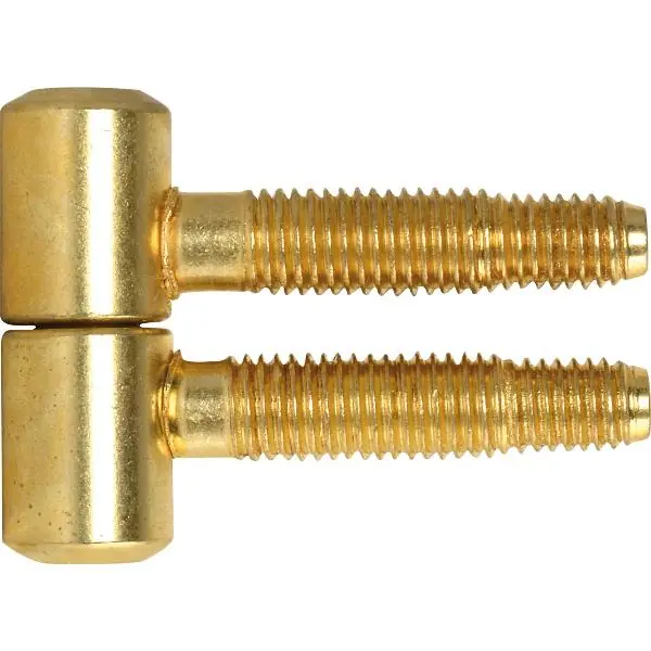 Závrtný okenní závěs, ø 13 mm, ocel pomosazená Aktuální