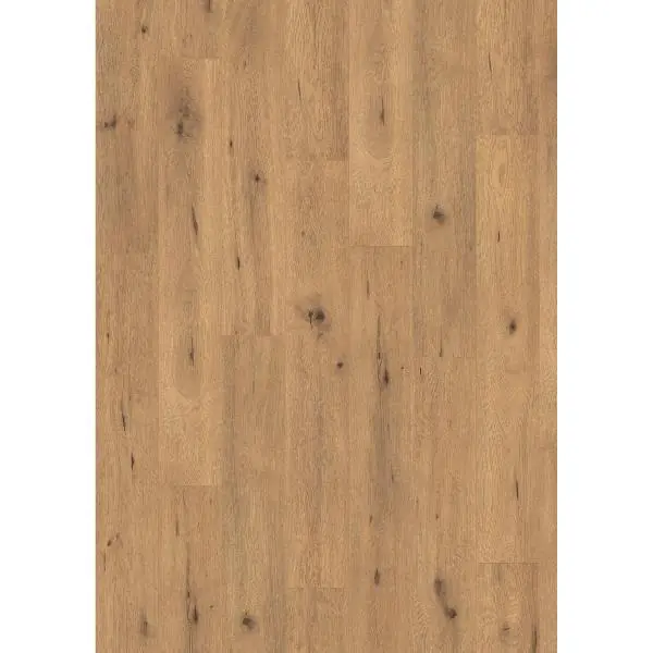 Top Prodej EGGER laminát NatureSense divoký dub přírodní